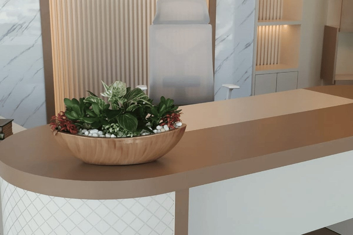 Corporate Plant Service Dubai