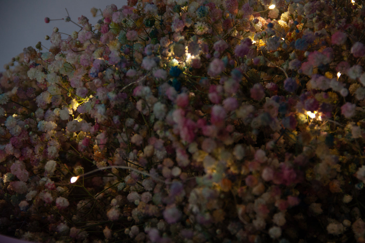 Fireflies &amp; Fairies