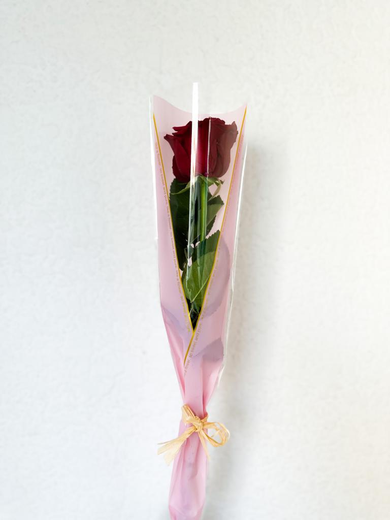 Single rose
